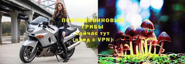 дживик Кодинск